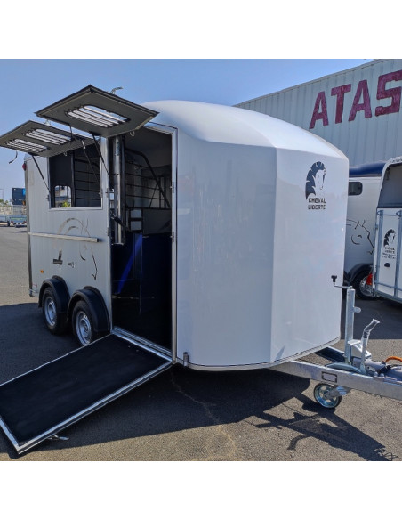 MAXI 3 - VAN 3 PLACES DIAGONAL PONT ARRIERE 