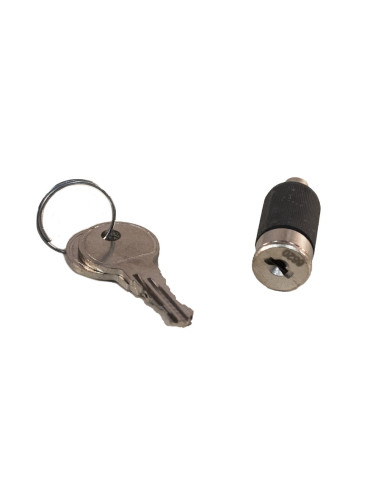 BARILLET et CLEFS pour ANTIVOL SAFETY GRIS après 2006 (Alko)