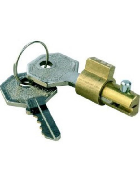  ANTIVOL SERRURE POUR AK13-15-21-25-26-30-35 (Alko)