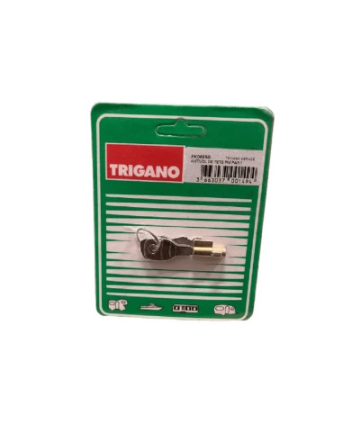 ANTIVOL SERRURE DE TETE ATTELAGE 