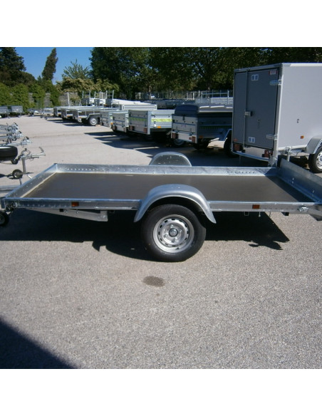 PLATEAU BASCULANT 40370 304*171 - 500 KG PTC (Lider)