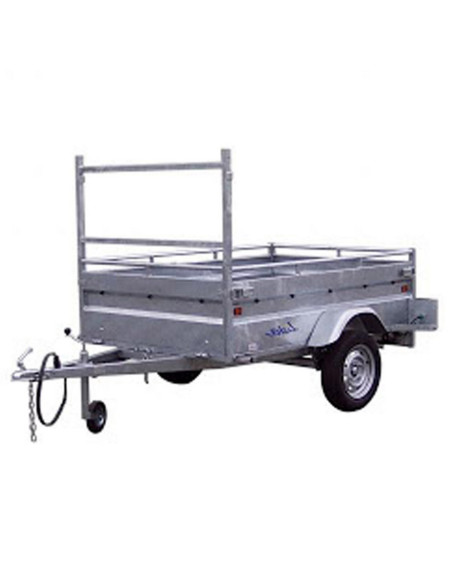 PORTE ECHELLE - ROBUST 200 253 - Largeur 134 (Lider)