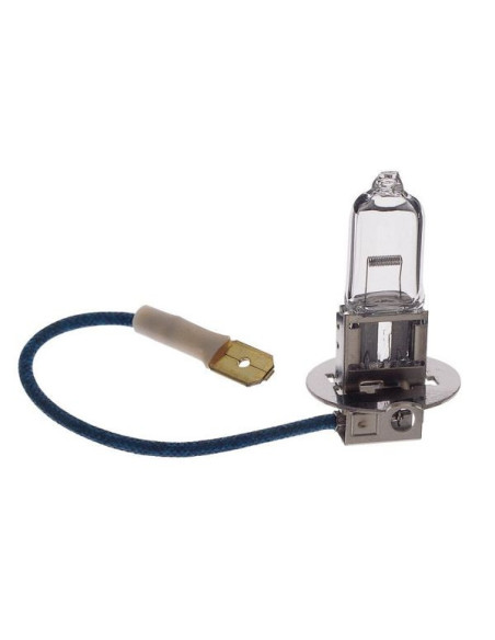 AMPOULE H3 -12V 55W