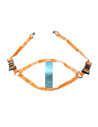 SANGLE D'ARRIMAGE - ROUE ARRIERE MOTO - 2 CLIQUETS ET CROCHETS