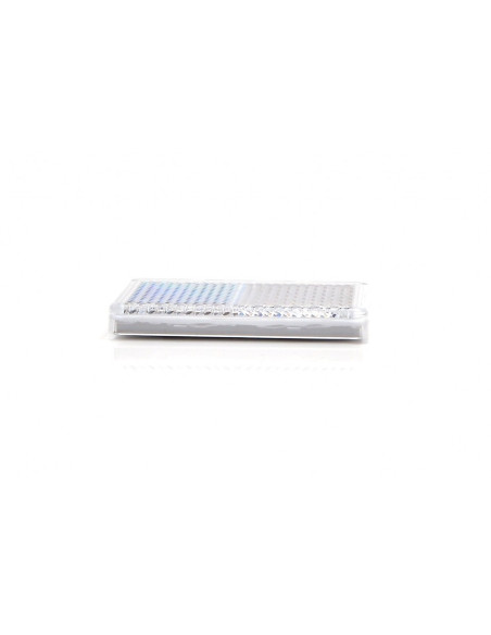 CATADIOPTRE BLANC HOMOLOGUES 55*40 ADHESIF