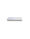 CATADIOPTRE BLANC HOMOLOGUES 55*40 ADHESIF