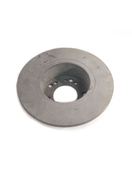 WAP Disque de frein WAP WS284